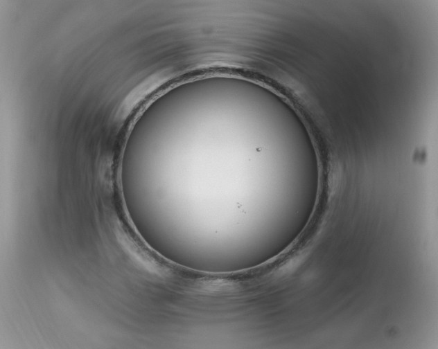 X0000112461113200908171156