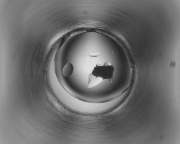 X0000112461114200908171156