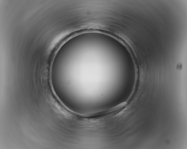 X0000112461115200908171156