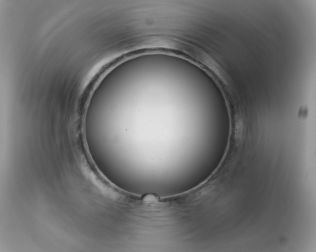 X0000112461116200908171156
