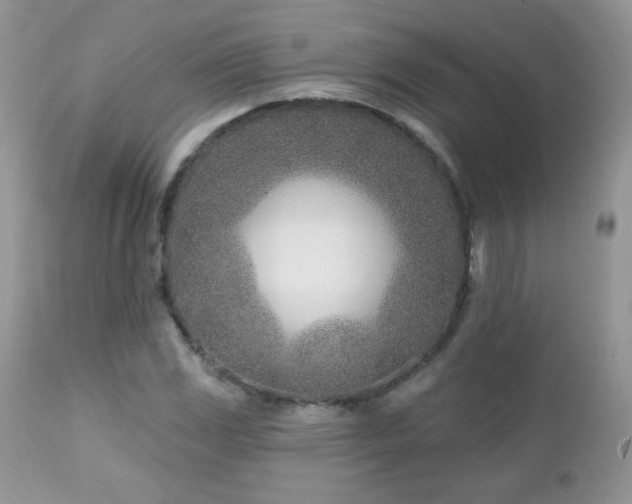 X0000112461117200908171156