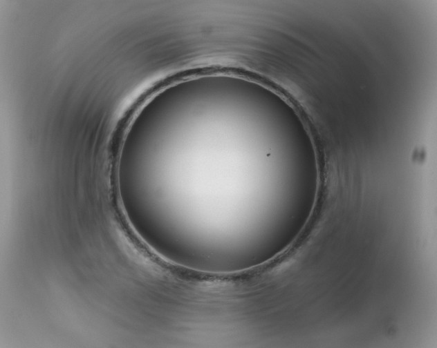 X0000112461118200908171156