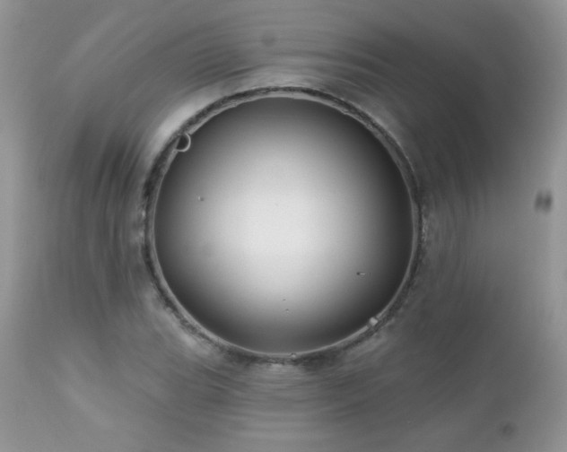 X0000112461119200908171156
