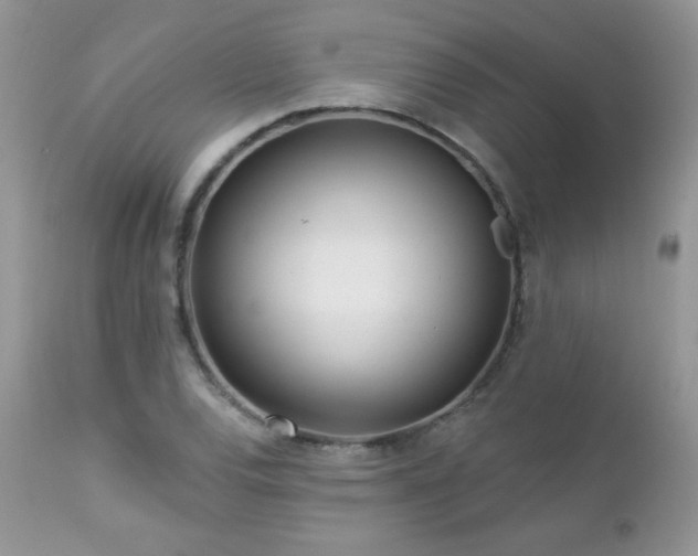 X0000112461120200908171156