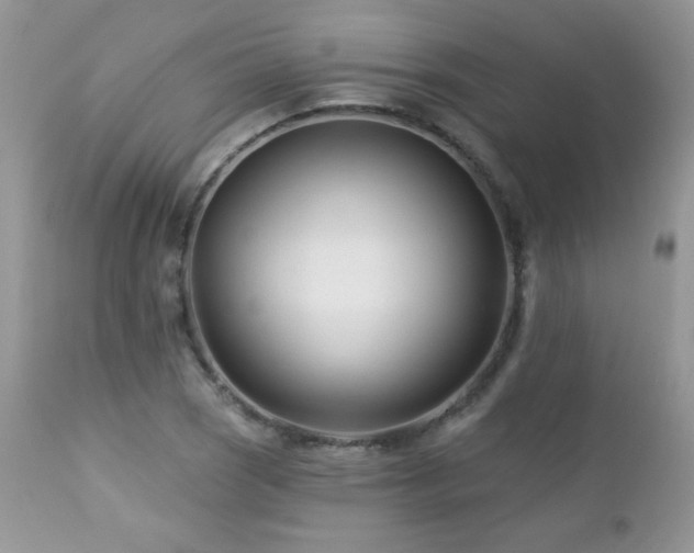 X0000112461121200908171156