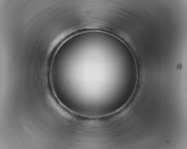 X0000112461122200908171156