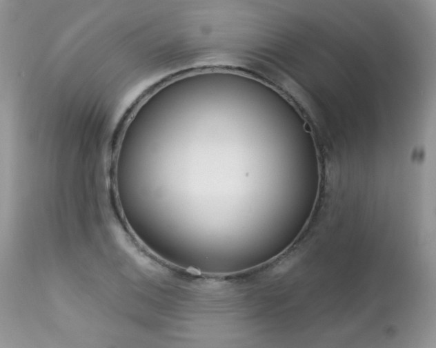 X0000112461124200908171156