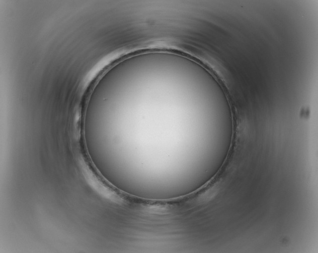 X0000112461126200908171156