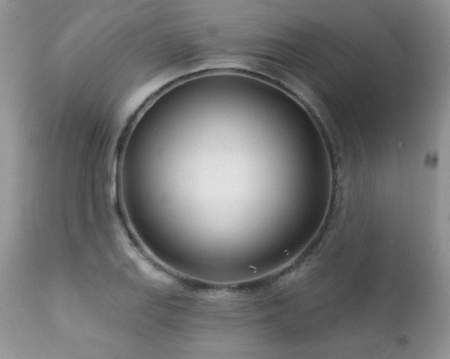 X0000112461127200908171156