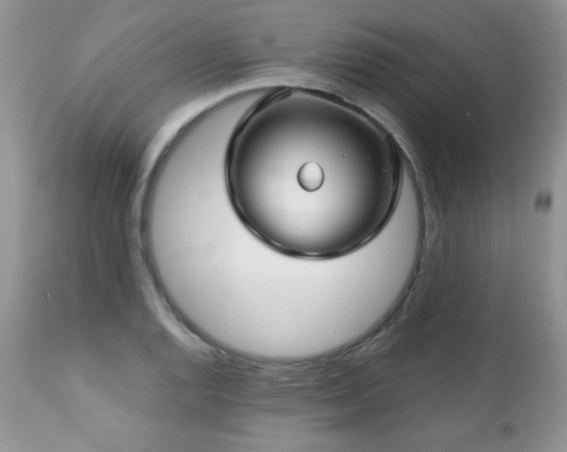 X0000112461128200908171156