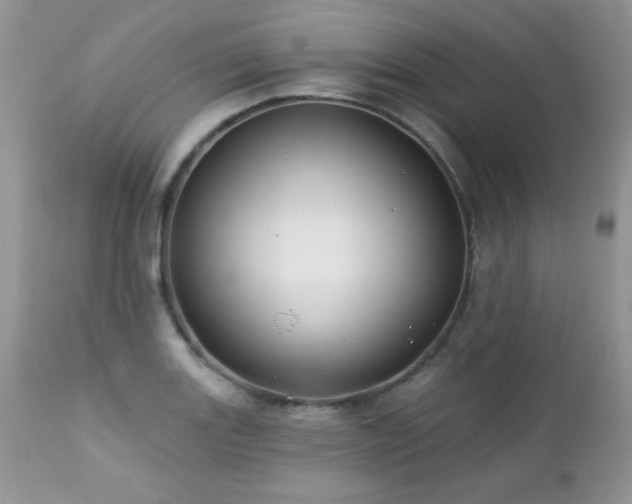 X0000112461131200908171156
