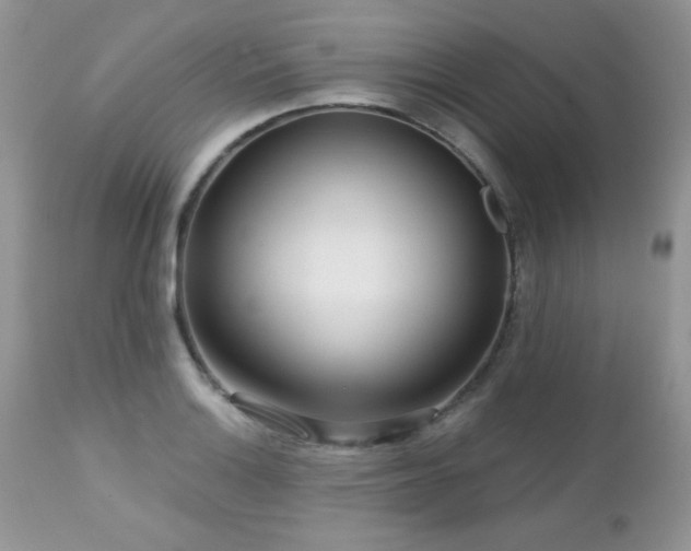 X0000112461132200908171156