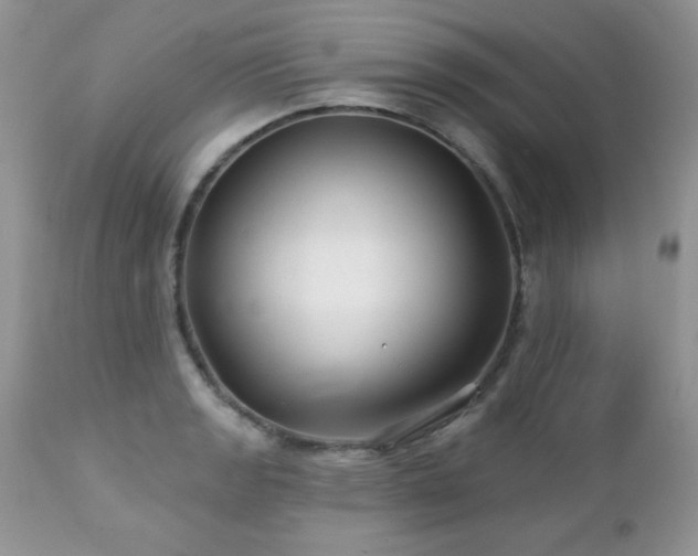 X0000112461133200908171156