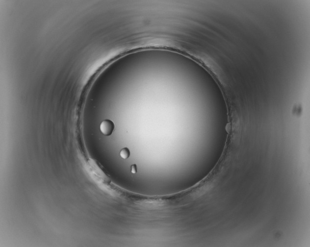 X0000112461134200908171156