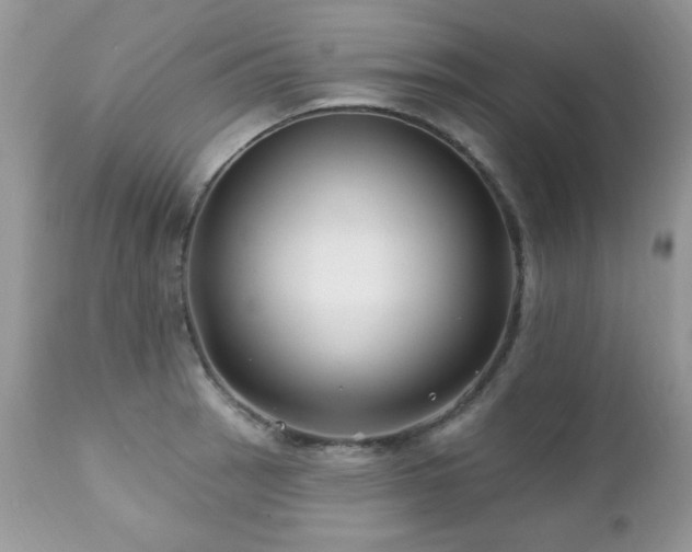 X0000112461137200908171156