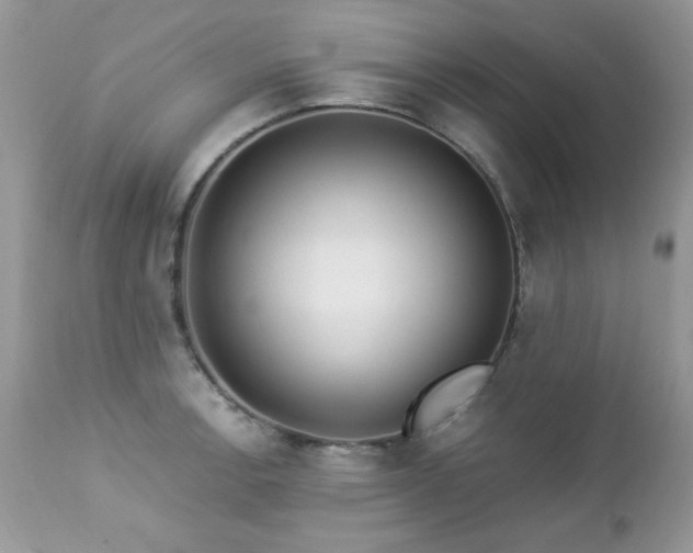 X0000112461138200908171156