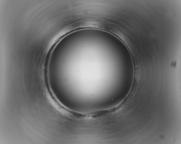 X0000112461139200908171156