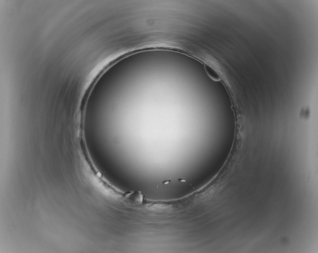 X0000112461140200908171156
