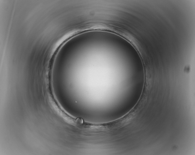 X0000112461142200908171156