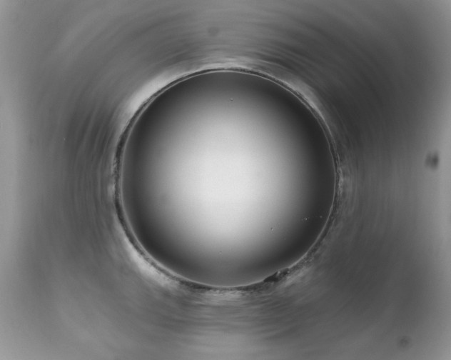 X0000112461143200908171156