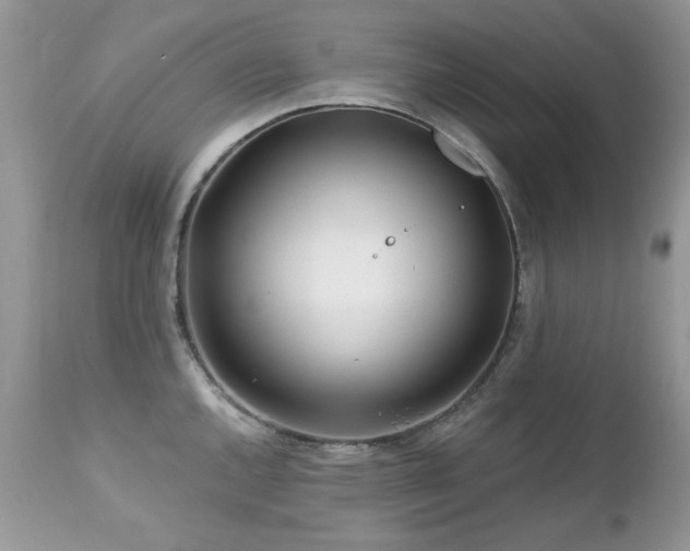 X0000112461144200908171156