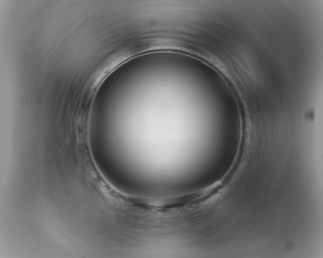 X0000112461145200908171156