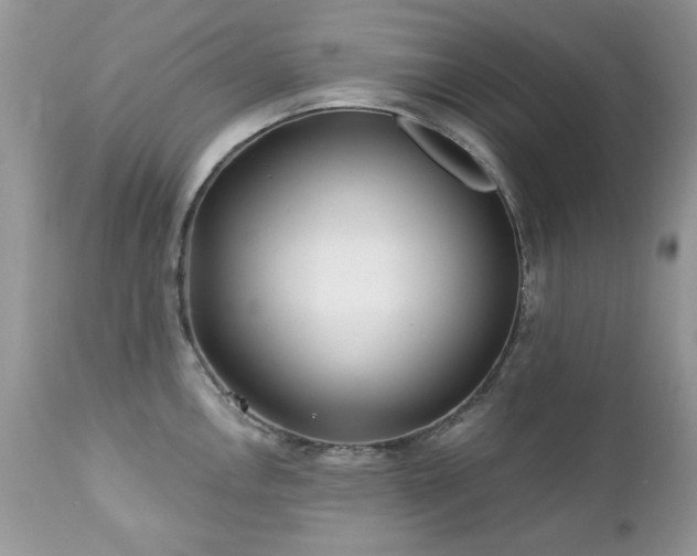 X0000112461146200908171156