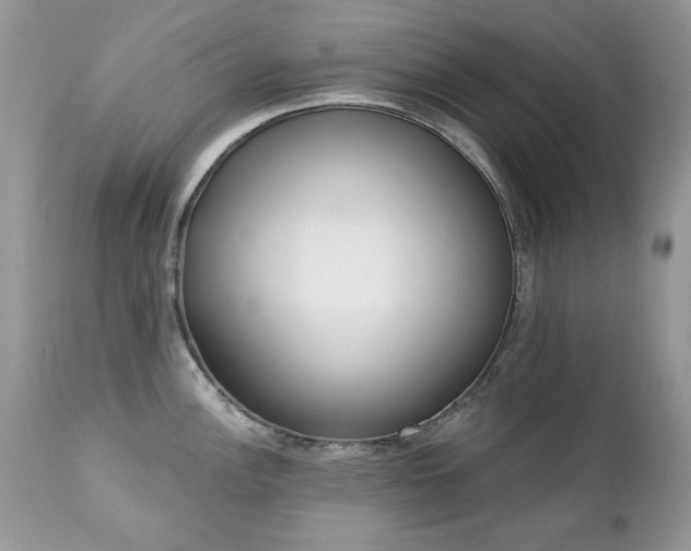 X0000112461148200908171157