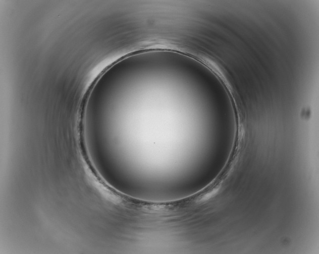 X0000112461149200908171157