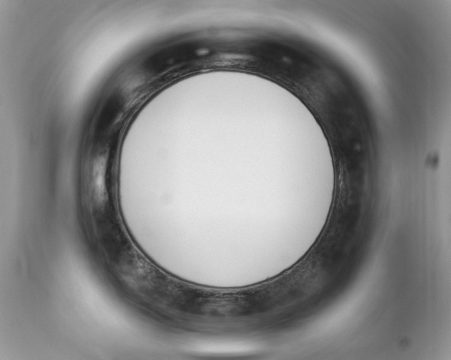 X0000112461150200908171157