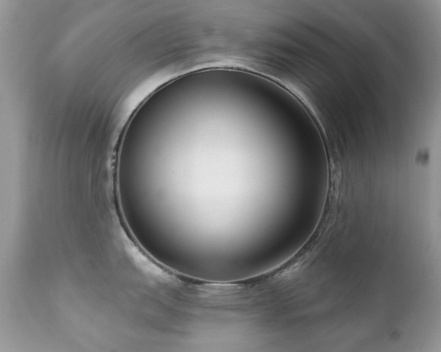 X0000112461151200908171157