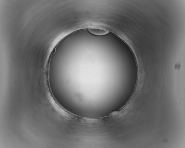 X0000112461152200908171157