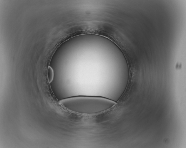 X0000112461153200908171156