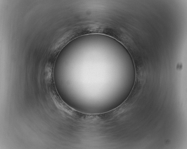 X0000112461154200908171156