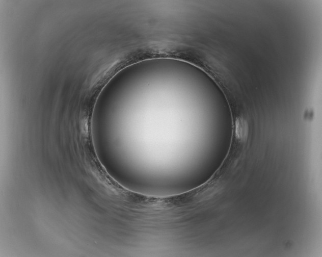 X0000112461155200908171156