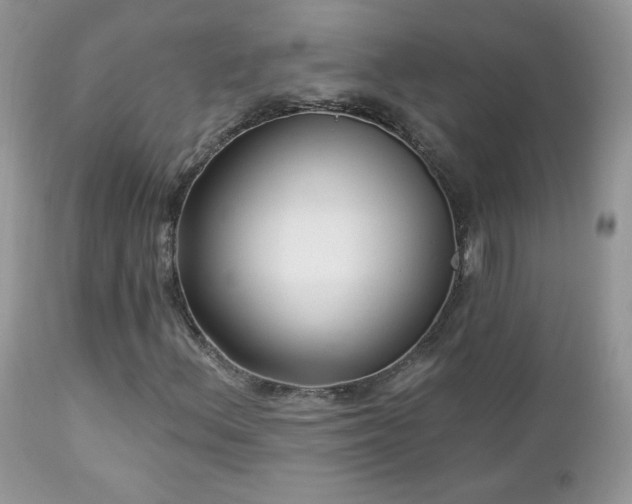 X0000112461156200908171156