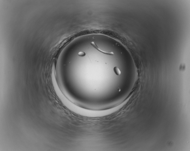 X0000112461157200908171156