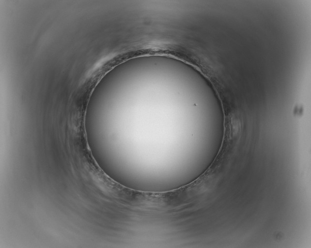 X0000112461158200908171156