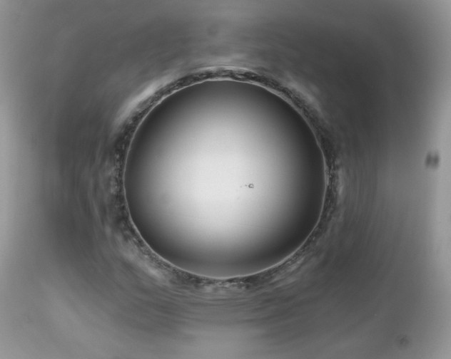 X0000112461159200908171156
