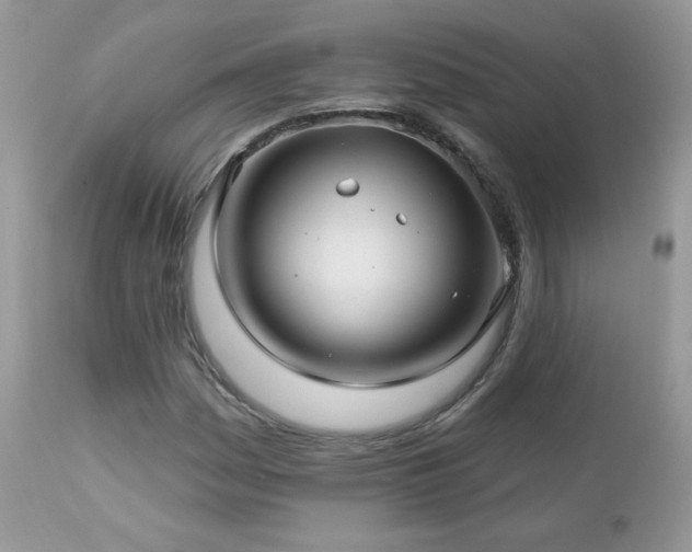X0000112461161200908171156