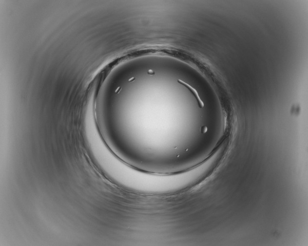 X0000112461162200908171156