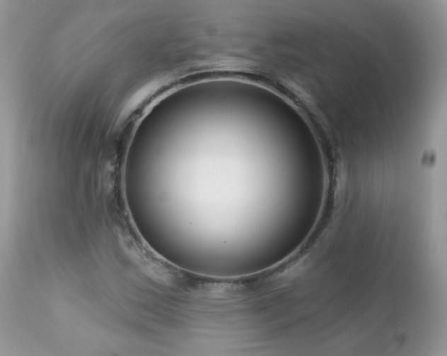 X0000112461163200908171156