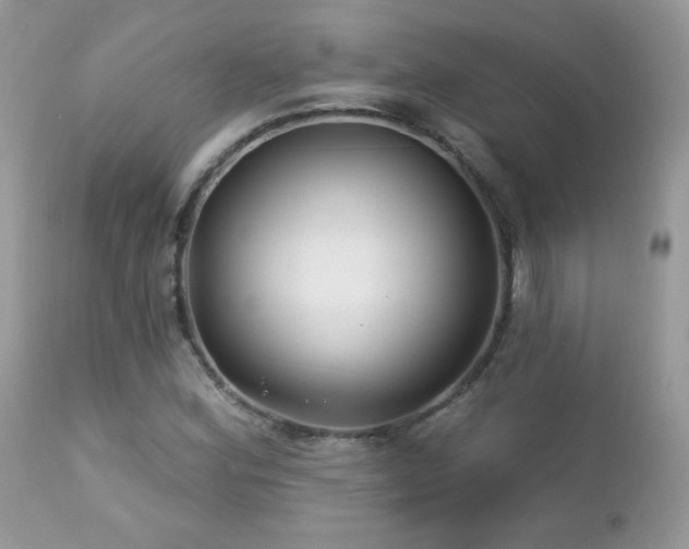 X0000112461164200908171156