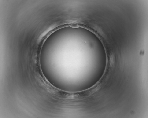 X0000112461165200908171156