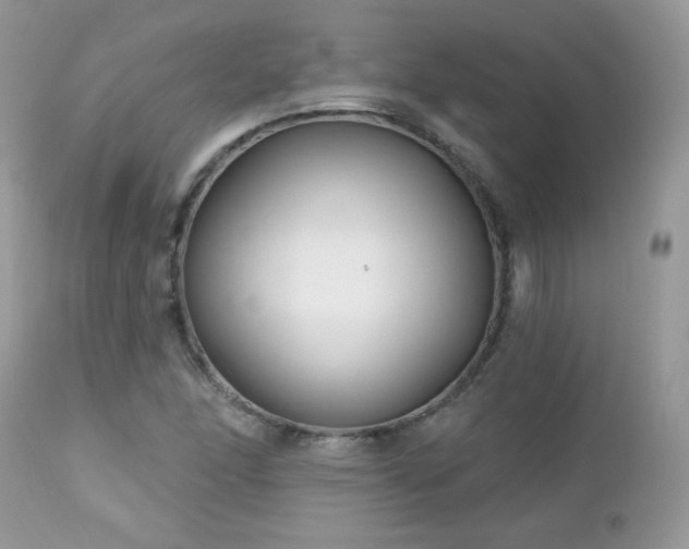 X0000112461166200908171156