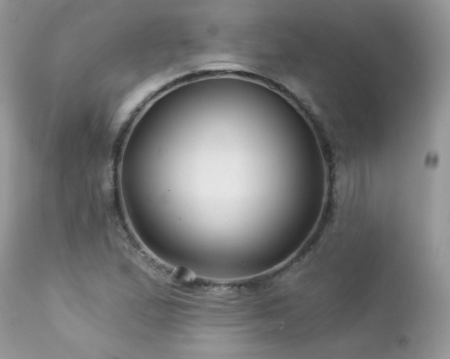 X0000112461167200908171156