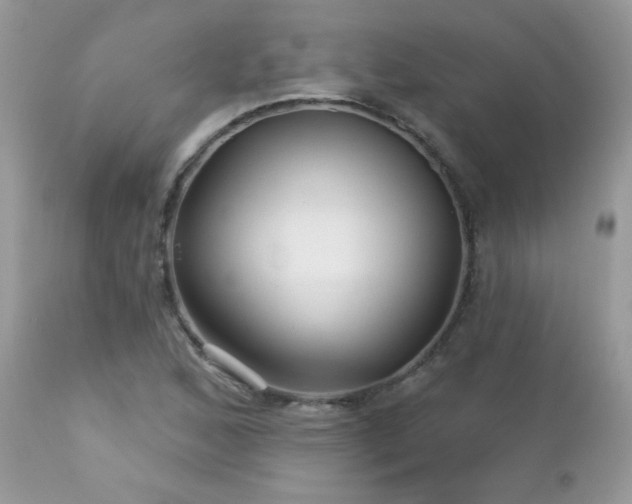 X0000112461168200908171156