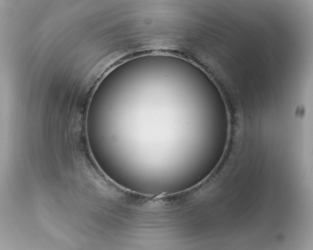 X0000112461169200908171156