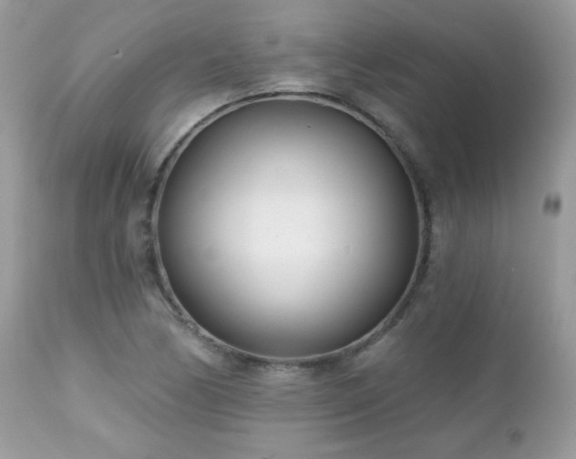 X0000112461170200908171155