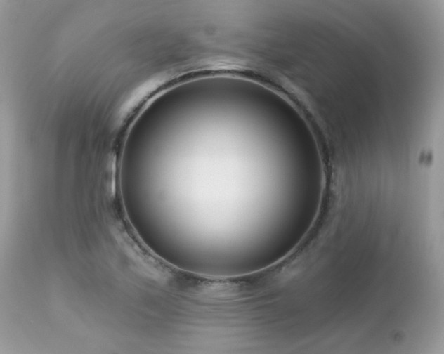 X0000112461171200908171155